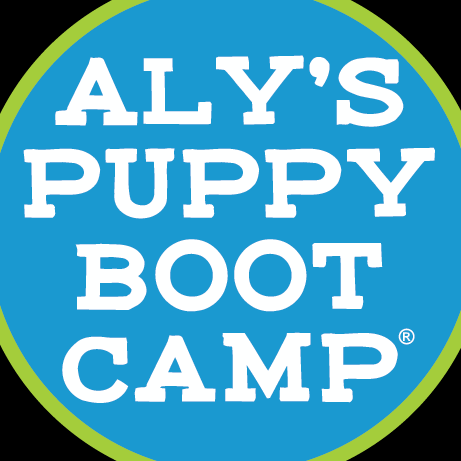 Alyspuppy Bootcamp